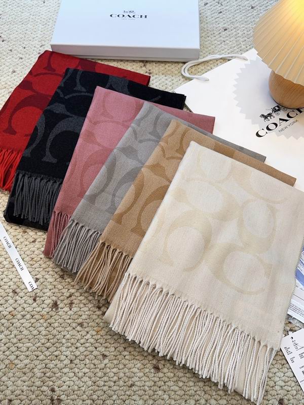 Coach Scarf 48X200cm E111609